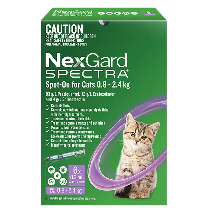 ILC-146263-NGS_Cats_6_pack_front_0.8-2 (1)