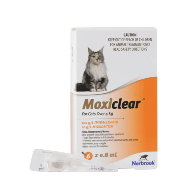 Moxiclear_for_Cats_Over_4kg-MOXI_CC_02-Primary_a0454a3a-7a04-4103-ba2c-432103131df9_640x